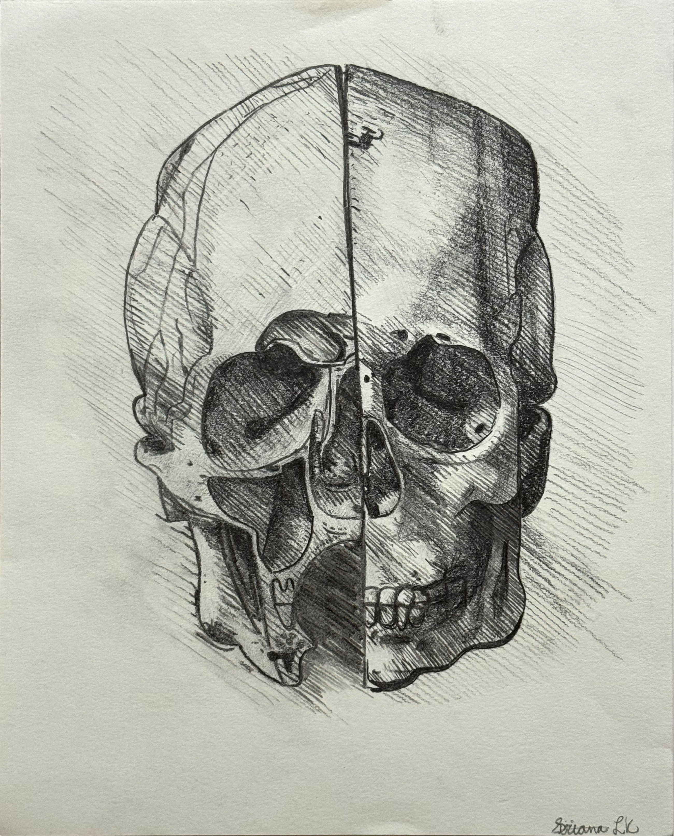Skull #1